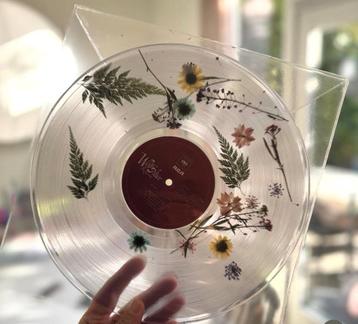 Wolf Alice – The Clearing  (Blood records limited edition) beschikbaar voor biedingen