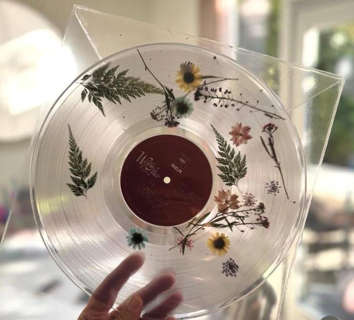 Wolf Alice – The Clearing  (Blood records limited edition), Cd's en Dvd's, Vinyl | Overige Vinyl, Nieuw in verpakking, 12 inch