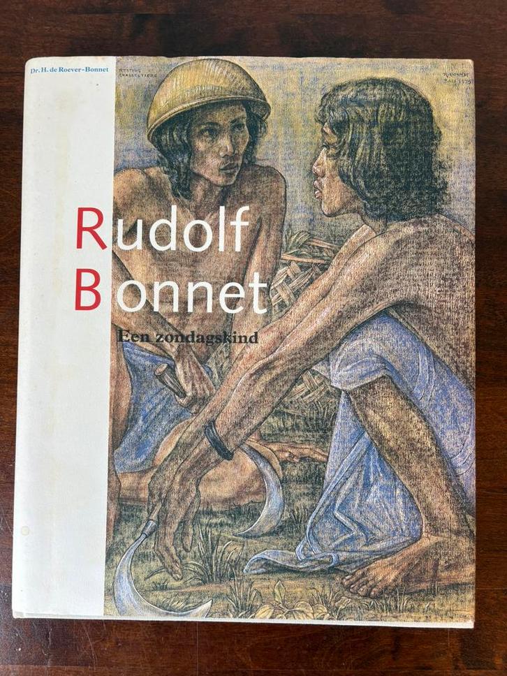 Boek Rudolf Bonnet een zondagskind, Boeken, Kunst en Cultuur | Beeldend, Gelezen, Schilder- en Tekenkunst, Ophalen of Verzenden