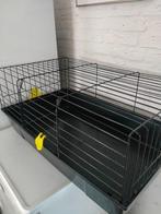 Cavia kooi, Dieren en Toebehoren, Knaagdieren en Konijnen | Hokken en Kooien, Kooi, Gebruikt, 75 tot 110 cm, Cavia