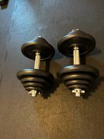 RS Sports Dumbellset - Totaal 40 kg - 20kg per dumbell, Ophalen, Zo goed als nieuw, Halterset