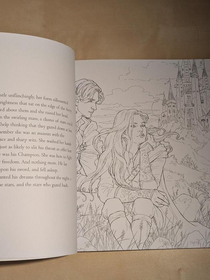 Throne of Glass colouring book (ongebruikt), Boeken, Fantasy, Nieuw, Ophalen