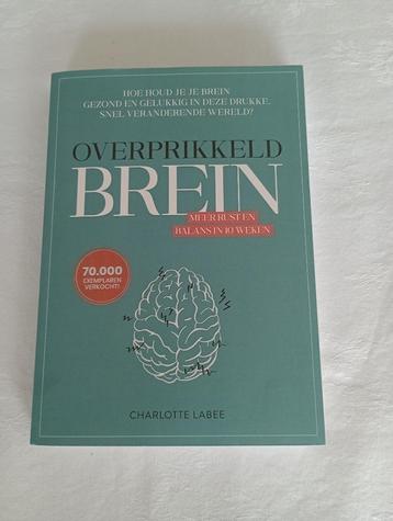 Overprikkeld brein  Meer rust en balans in 10 weken  C.Labee beschikbaar voor biedingen