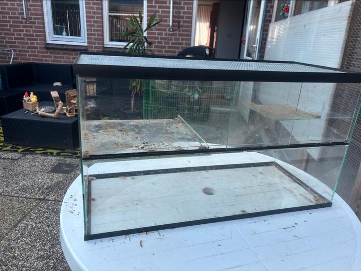 Terarrium, Dieren en Toebehoren, Reptielen en Amfibieën | Toebehoren, Zo goed als nieuw, Terrarium of Paludarium, Ophalen