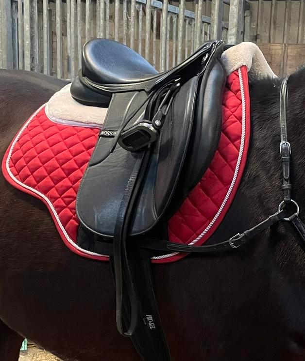 Norton 17,5’ MW veelzijdigheid, Dieren en Toebehoren, Paarden en Pony's | Overige Paardenspullen, Zo goed als nieuw, Recreatie