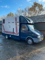 Nette Iveco paardenwagen met NIEUWE APK B-rijbewijs, 2-paards trailer, Gebruikt, Ophalen, Aluminium