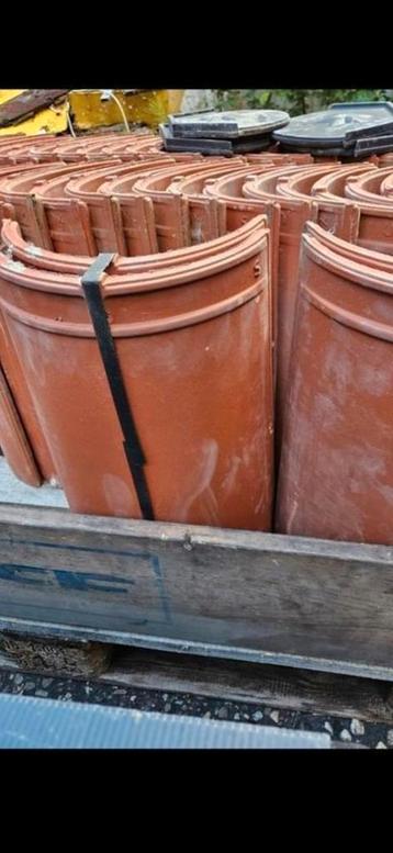 Rode nokpannen Roben Flandern plus nieuw beschikbaar voor biedingen