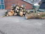 Gezocht haardhout, Tuin en Terras, Haardhout, Minder dan 3 m³, Ophalen