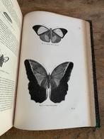 Boek over vlinders uit ca 1880 vol gravures, Ophalen of Verzenden