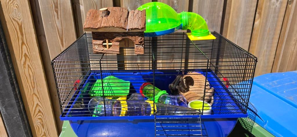 2 dwerghamster kooien te koop, Dieren en Toebehoren, Kooi, Gebruikt, Minder dan 75 cm, Muis