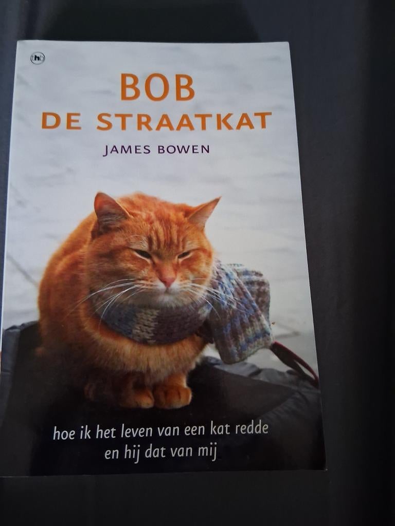 James Bowen - Bob de straatkat, Boeken, Overige Boeken, Zo goed als nieuw, Ophalen of Verzenden