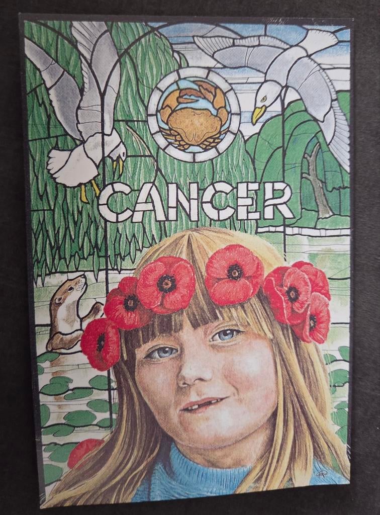 Kreeft (Cancer) - Brian Partridge, Verzenden, Ongelopen, Overige thema's