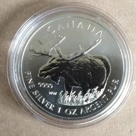 1 oz Zilver munt Canadian Wildlife Moose 2012 Canada, Ophalen of Verzenden, Zilver