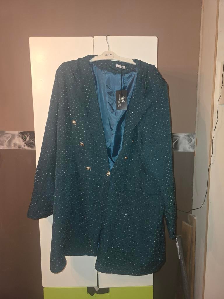 Nieuwe sparkle blazer draagbaar tot 54/56, Kleding | Dames, Ophalen, Nieuw, Jasje of Colbert, New Collection