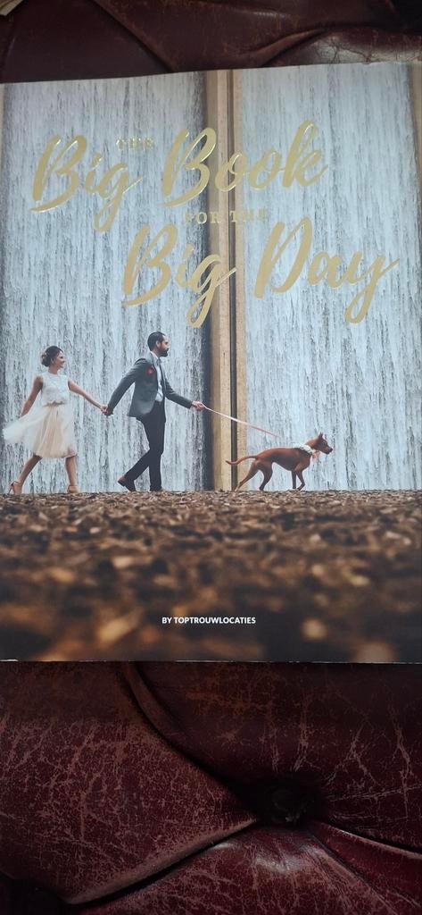 The Big Book for the Big Day - Trouwlocaties, Ophalen of Verzenden, Zo goed als nieuw, Toptrouwlocaties, Nederland