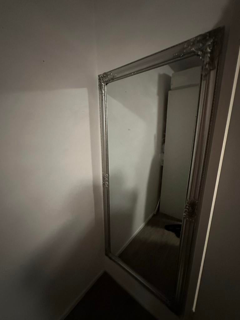 Zilverkleurige spiegel van Xenos, Gebruikt, 100 tot 150 cm, Ophalen of Verzenden, Rechthoekig