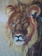 Leeuwenkop, pastel. Gesigneerd. 53/73 cm., Ophalen, Zo goed als nieuw, 50 tot 75 cm, Tekening
