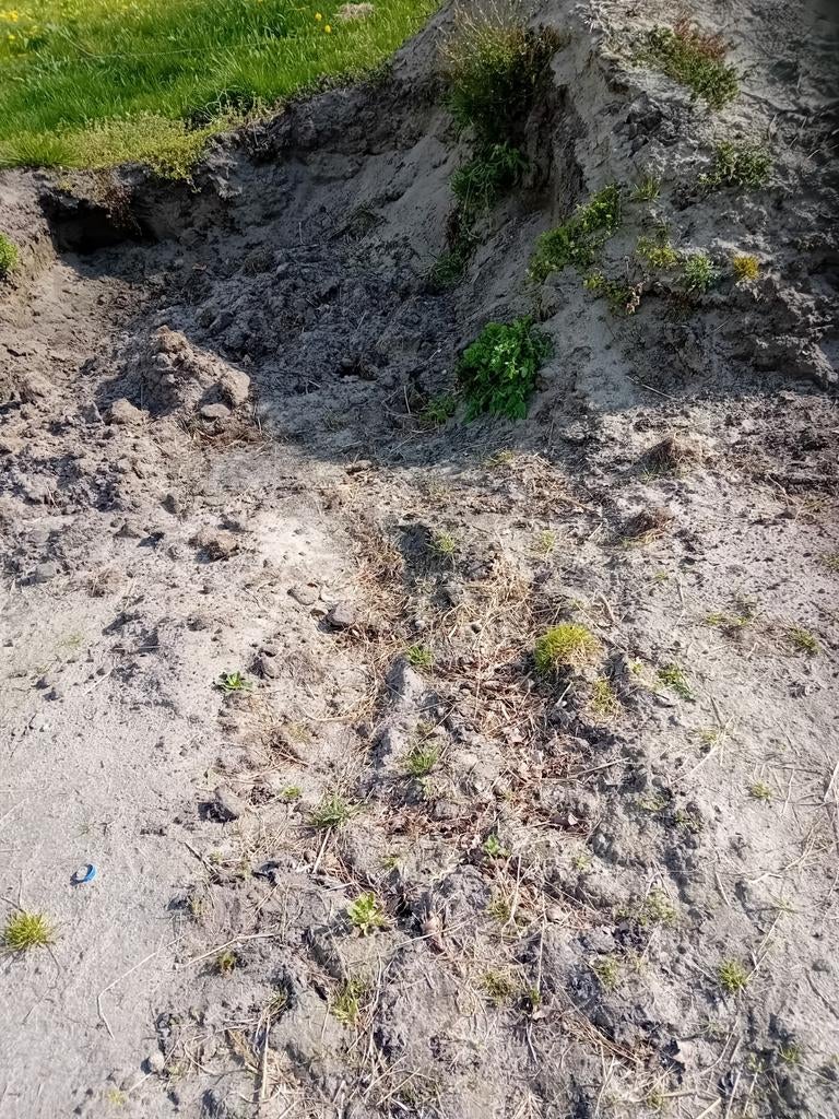 Zwarte grond gevraagd, Tuin en Terras, Ophalen of Verzenden, Tuinaarde