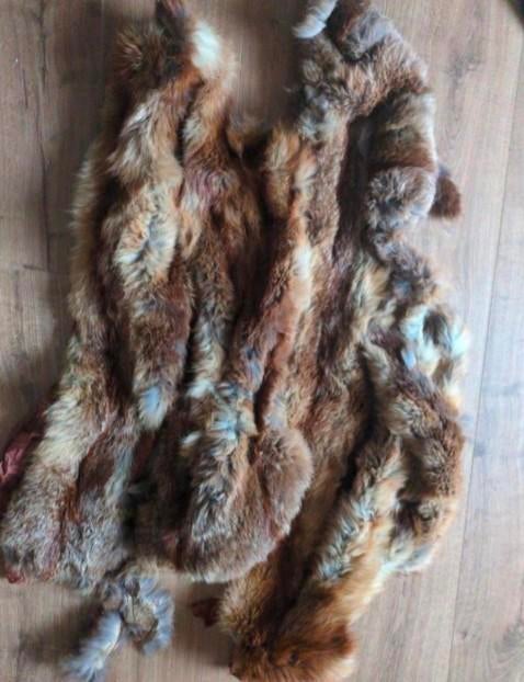 Bont Roodvos véel stroken voor kraag, accesoires, reparaties, Kleding | Dames, Mutsen, Sjaals en Handschoenen, Ophalen of Verzenden