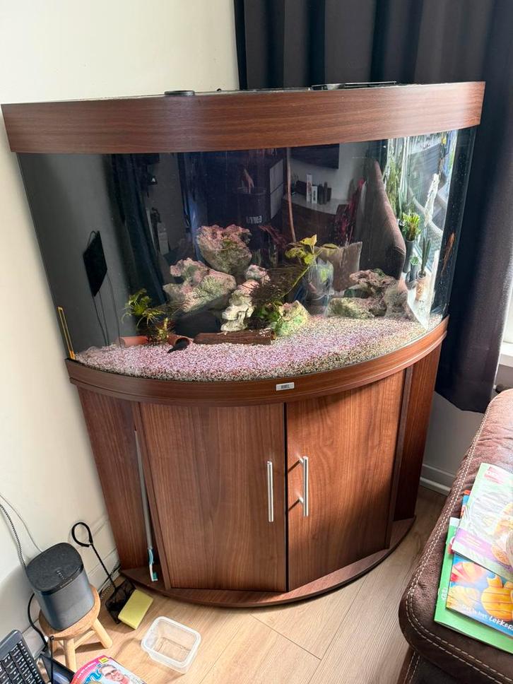 Juwel Trigon 350, Dieren en Toebehoren, Vissen | Aquaria en Toebehoren, Gebruikt, Gevuld zoetwateraquarium, Ophalen of Verzenden