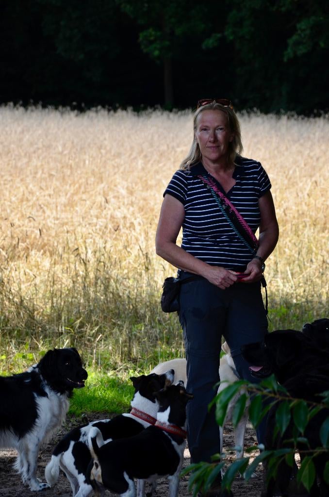 Omheind stuk grond gezocht voor HUS het gooi en omstreken