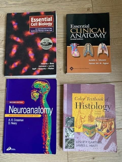 Diverse Studie Boeken, Diverse auteurs, HBO, Beta, Ophalen