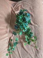 NIEUWE KUNST KLIMOP - INFO ZIE ADVERTENTIE, Ophalen of Verzenden, Nieuw