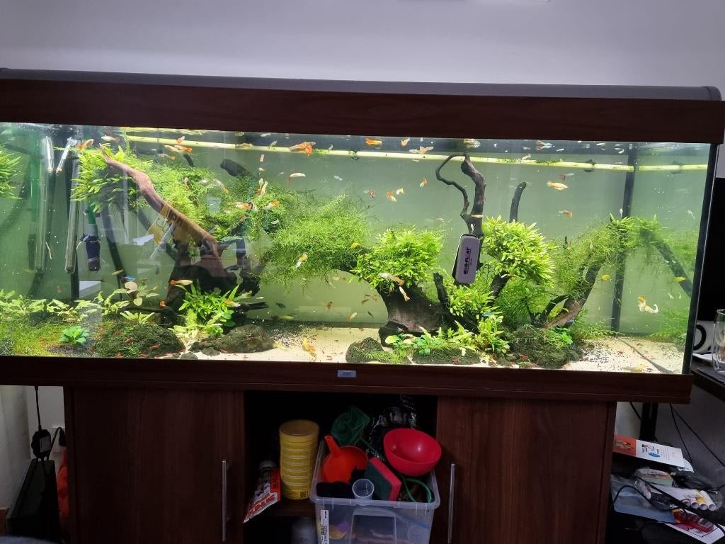 Juwel 400L aquarium met toebehoren, Ophalen, Gebruikt, Leeg aquarium