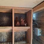 Nederlandse hoogvliegers, Ophalen of Verzenden