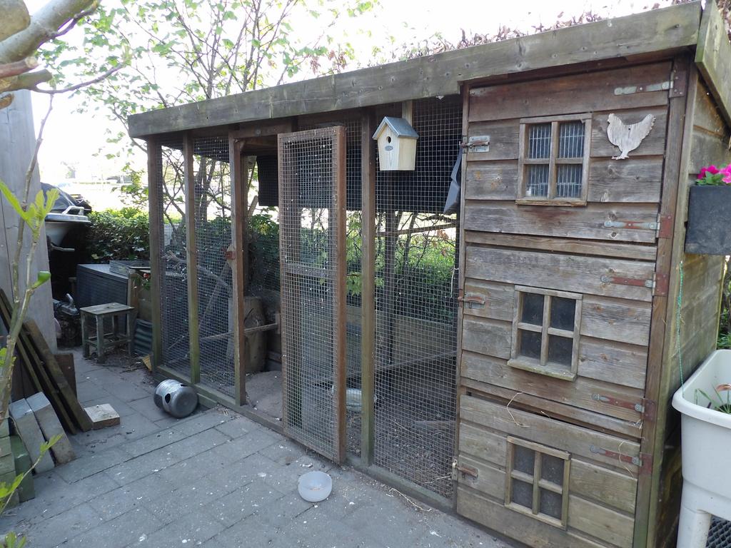 Heel groot en stevig voliere kippenhok breedte 323, Dieren en Toebehoren, Ophalen, Gebruikt, Hout, Volière