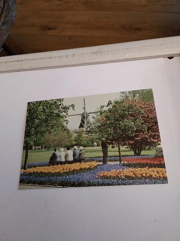 LISSE. KEUKENHOF, Ophalen of Verzenden