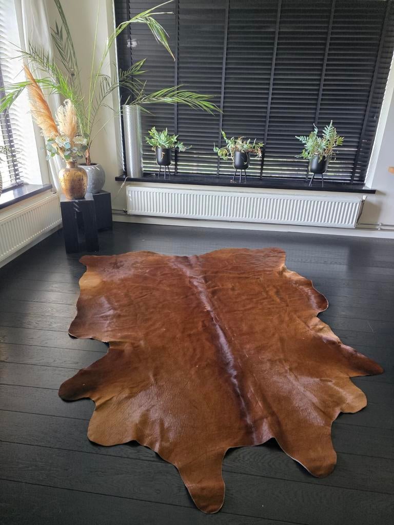 Prachtige koeienhuid koeien huid, Ophalen of Verzenden, Overige vormen, 200 cm of meer, 150 tot 200 cm