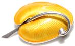 Prachtig Deens Zilver Geel Emaille Blad Broche Volmer Bahner, Ophalen of Verzenden, Zilver, Broche