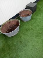 2 Zinken teilen voor voorjaarsbloemen, Gebruikt, Minder dan 30 cm, Minder dan 60 cm, Rond