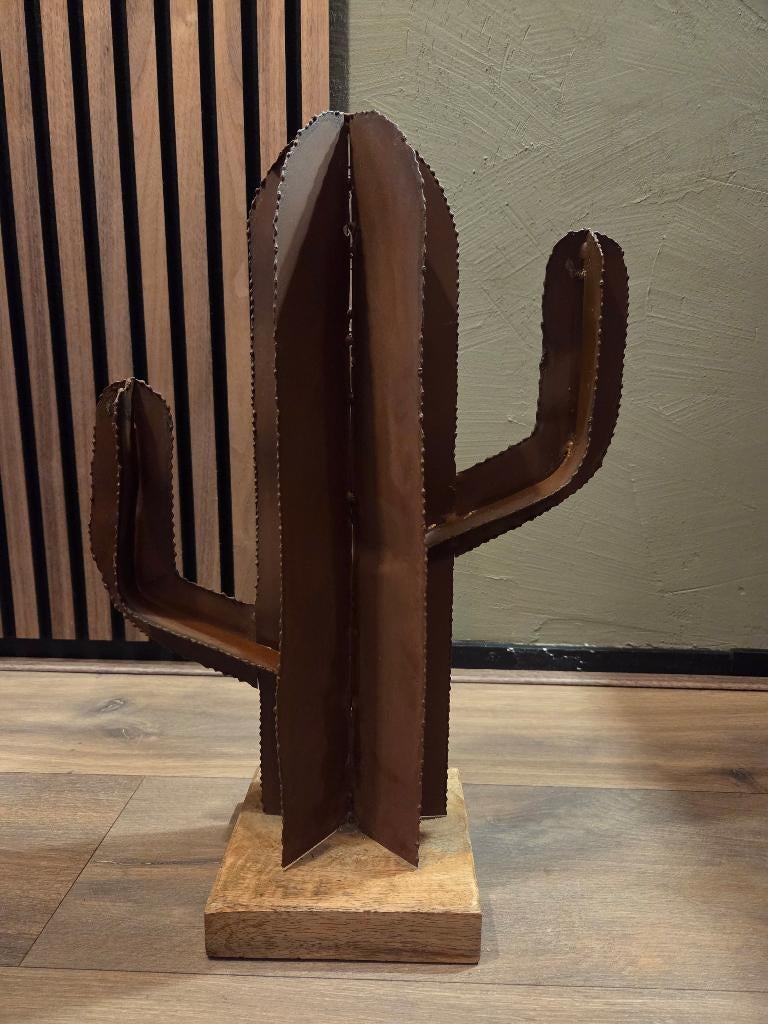 Cactus, Metaal, Decoratieobject, Zo goed als nieuw, Bruin