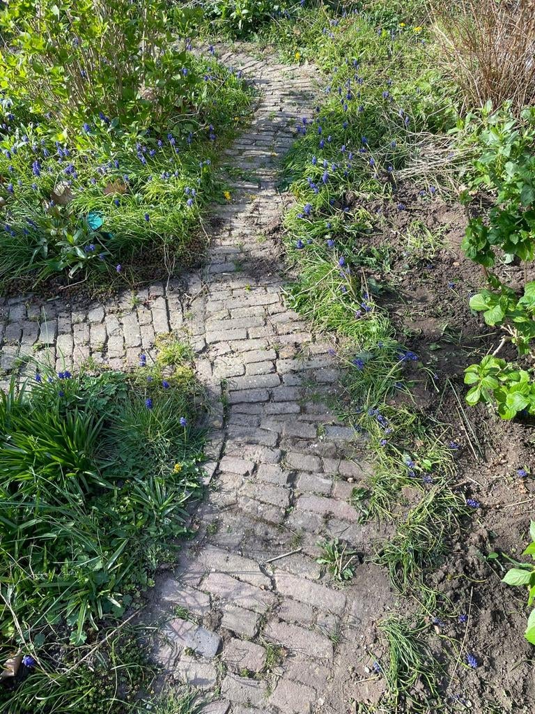 Oude waaltjes 10m2, Tuin en Terras, Tegels en Klinkers, Ophalen, Gebruikt, Keramiek, Klinkers