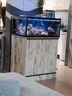 Zee aquarium, Dieren en Toebehoren, Vissen | Aquaria en Toebehoren, Ophalen of Verzenden, Leeg aquarium