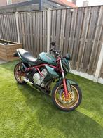 Kawasaki ER-6N -ABS- Sportieve Naked Bike, 2 cilinders, Sportuitlaat, Particulier, Meer dan 35 kW