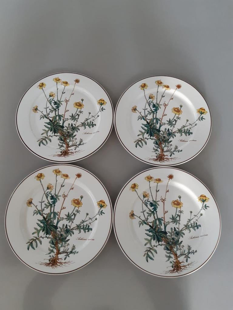 Dinerborden 24 cm Villeroy en Boch Botanica, 12 beschikbaar, Ophalen of Verzenden, Zo goed als nieuw, Bord(en), Overige stijlen