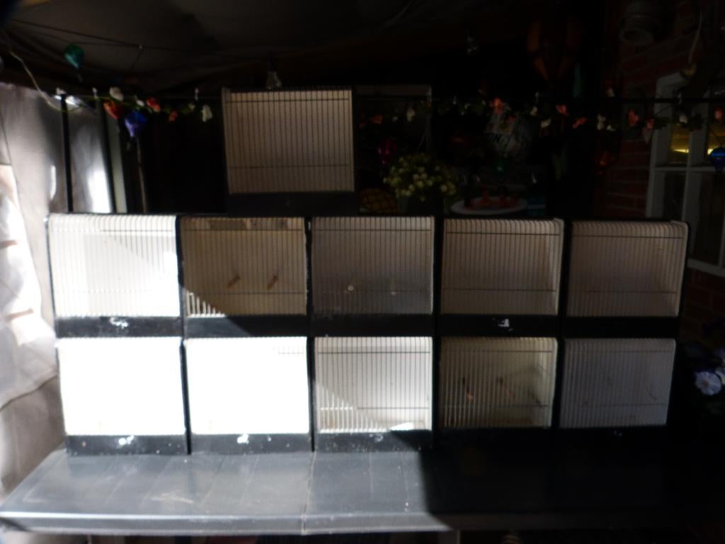 te koop transport kooien voor vogels en drenk bak kiepen, Ophalen, Gebruikt