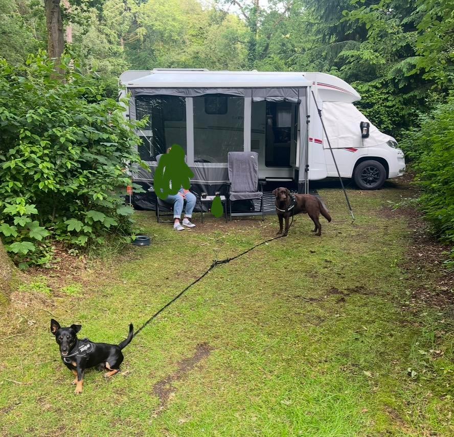 Luifeltent Obelink Emperor 330, Caravans en Kamperen, Camper-accessoires, Zo goed als nieuw, Ophalen of Verzenden