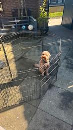 Metalen puppyren, Dieren en Toebehoren, Ophalen