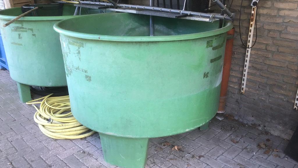 Vijverbak, quarantaine bak, vis bak, Tuin en Terras, Vijver-toebehoren, Ophalen, Nvt., Vijverbak, Gebruikt