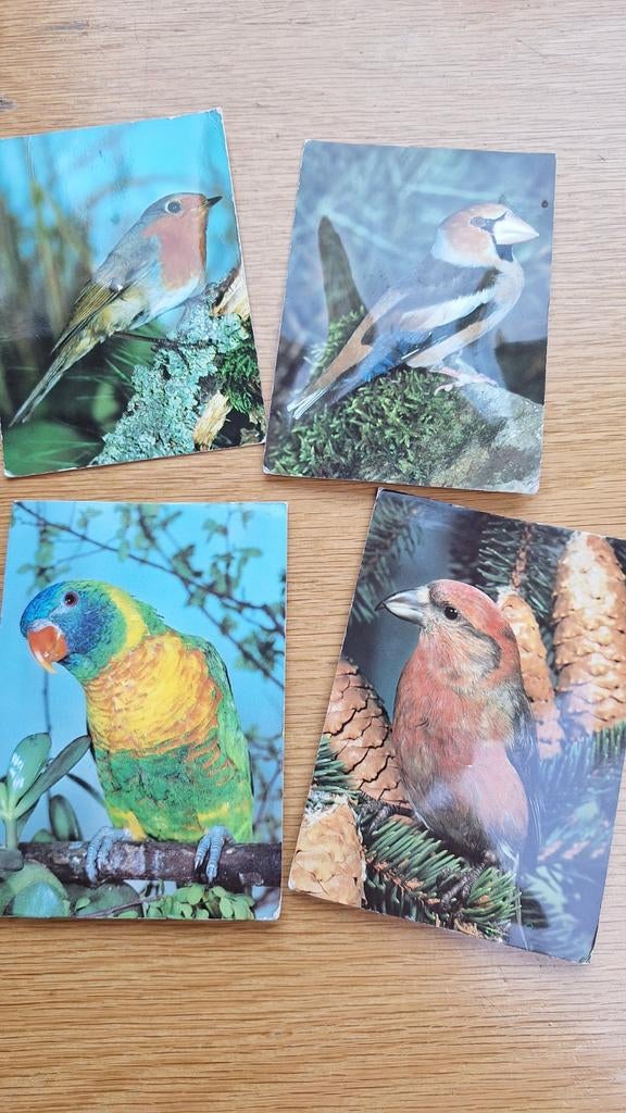 Vogelkaarten met geluid piep, Ophalen of Verzenden, Zo goed als nieuw