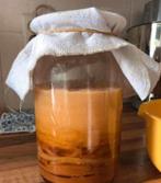 HAND- & HOMEMADE KOMBUCHA, Ophalen