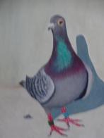 duif geschilderd  op  een blad ., Geslacht onbekend, Overige soorten