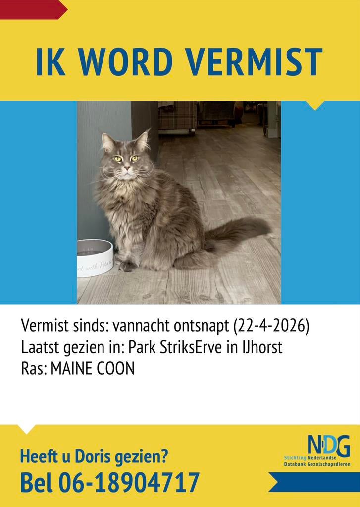 IK WORD VERMIST!!!, Kat
