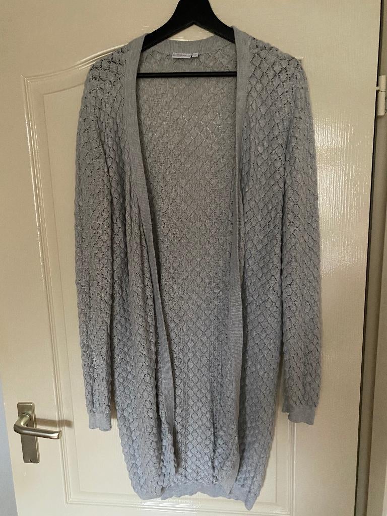 Lichtgrijs vest, Kleding | Dames, Fransa, Maat 42/44 (L), Ophalen of Verzenden, Grijs