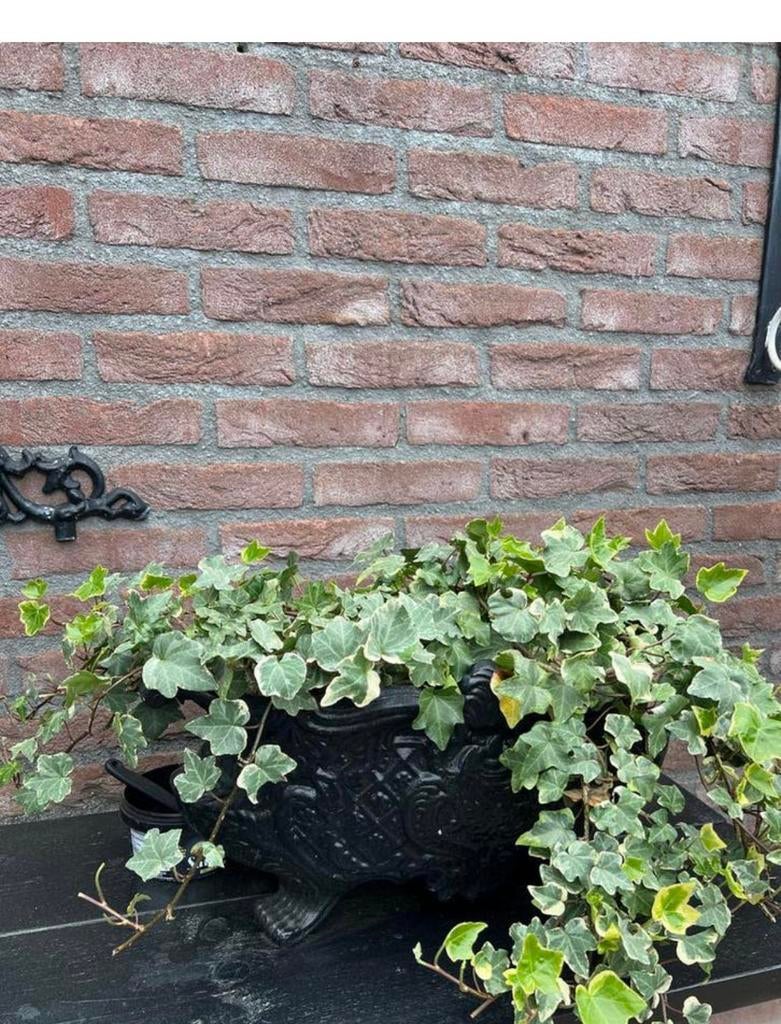 Gietijzeren Tuinvaas, Tuin en Terras, Tuinvazen, Ophalen, Gebruikt