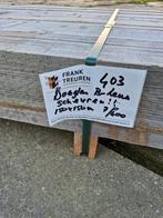 Pak 403 B-keus Douglas 150x150mm (flinke scheuren), Ophalen, Nieuw, 250 cm of meer, Balken